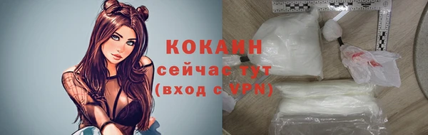 дживик Белокуриха