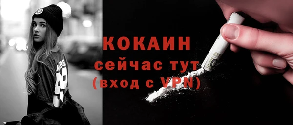 дживик Белокуриха