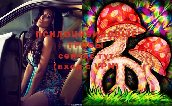 дживик Белокуриха