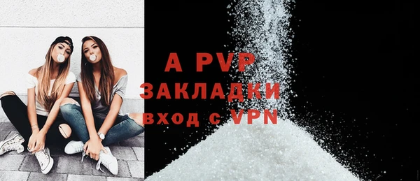дживик Белокуриха